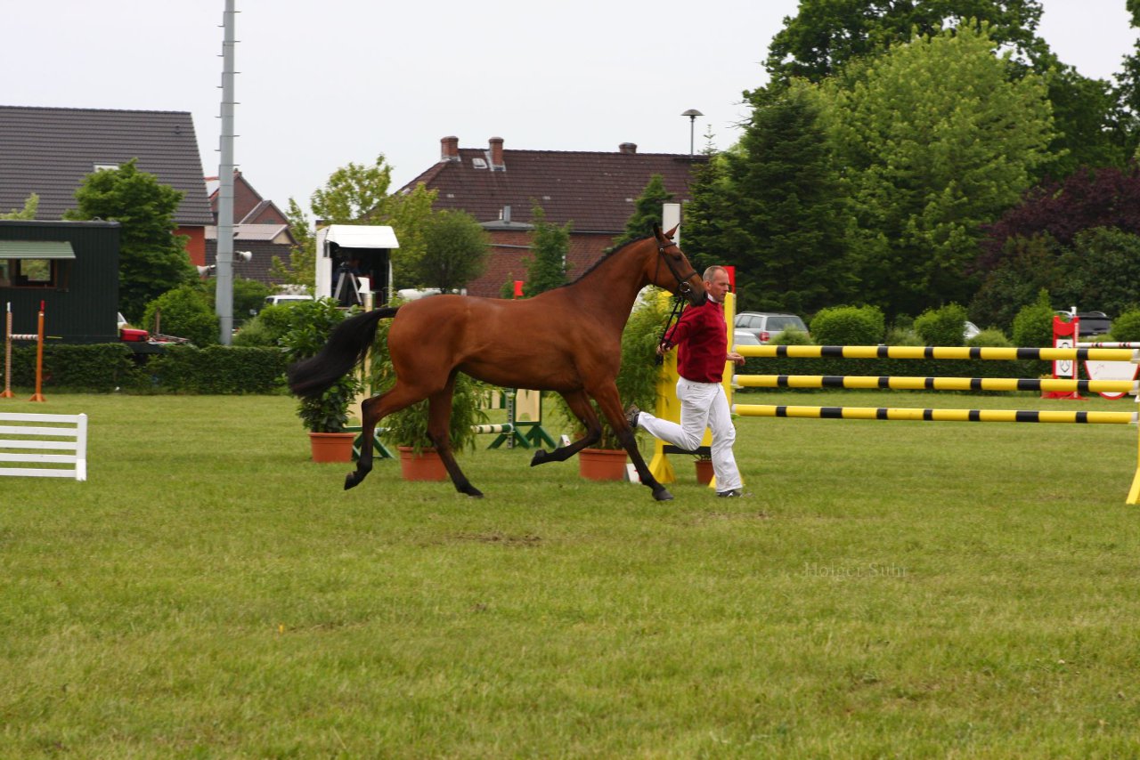 Bild 45 - Elmshorn am 9.6.10